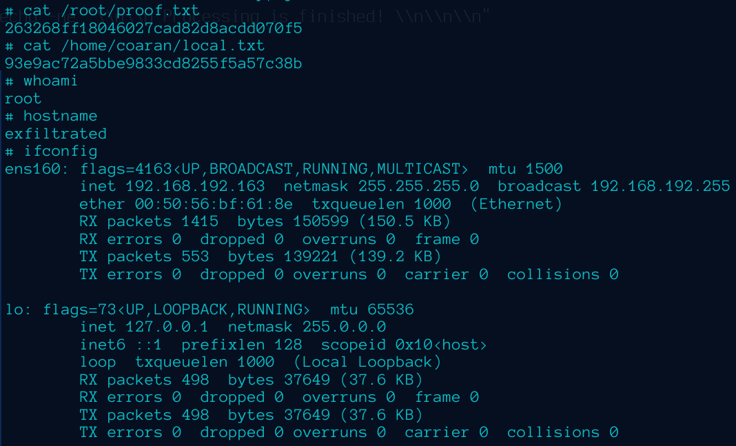 Root proof — root and local flags, whoami, and hostname