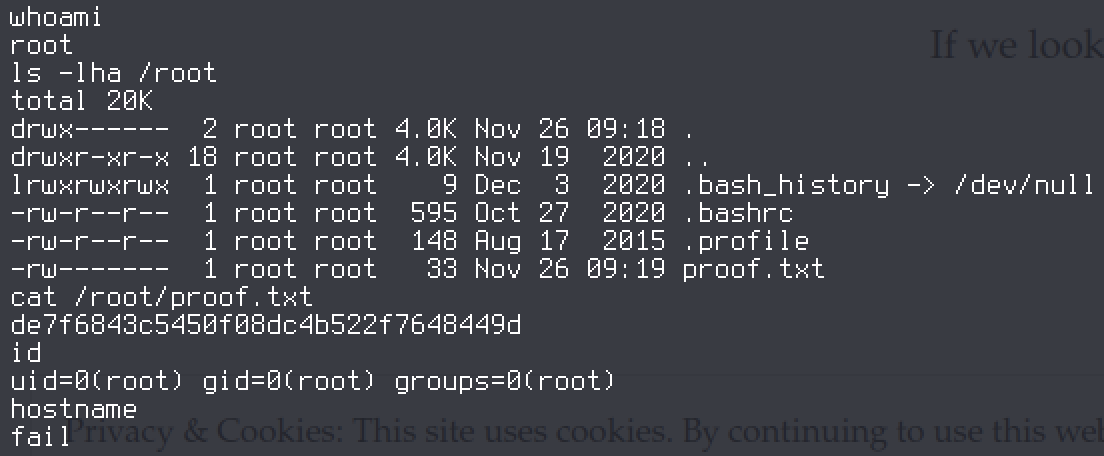 Root proof &ndash; whoami returns root, id shows uid=0, hostname is fail, and /root/proof.txt is readable