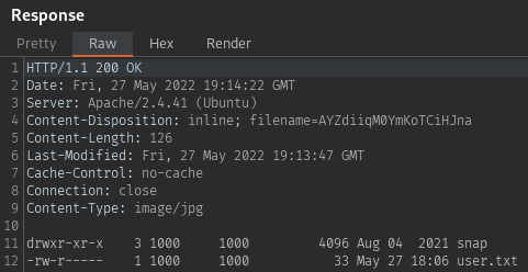 FTP directory listing showing user flag