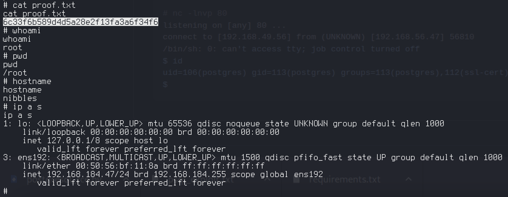 Root proof — whoami root, hostname nibbles, and /root/proof.txt
