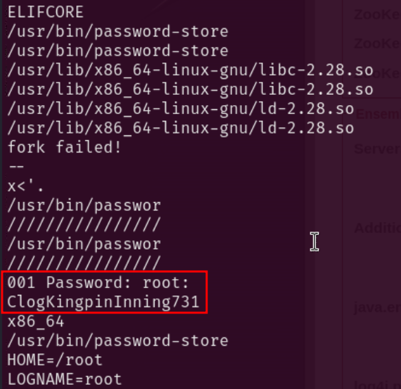 Password found in memory dump