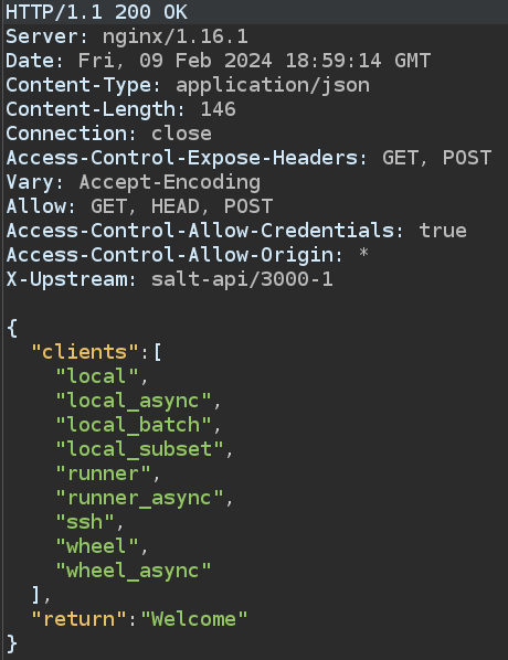 Salt API header revealing version