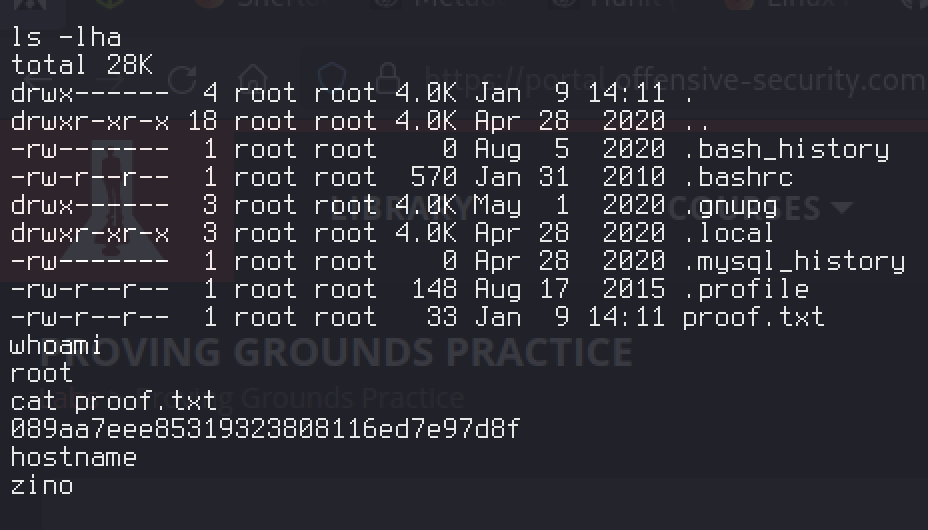 Root proof — whoami root, cat /root/proof.txt, hostname zino